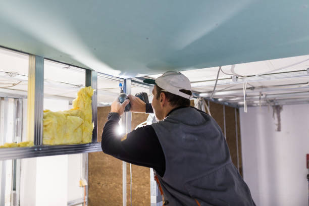 Best Insulation Inspection Services  in Spring Glen, UT
