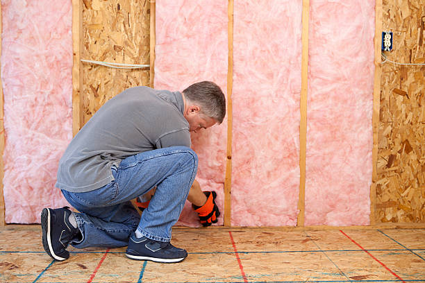 Best Insulation Contractors for Homes  in Spring Glen, UT